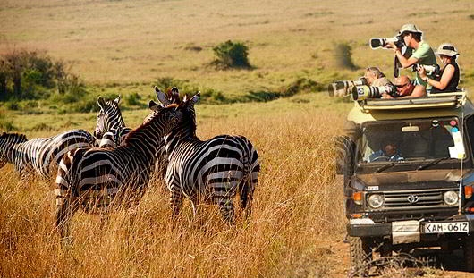 kenya safari from india